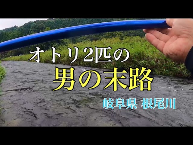 【鮎釣り】なぜあの時！？3匹にしなかったんだ…