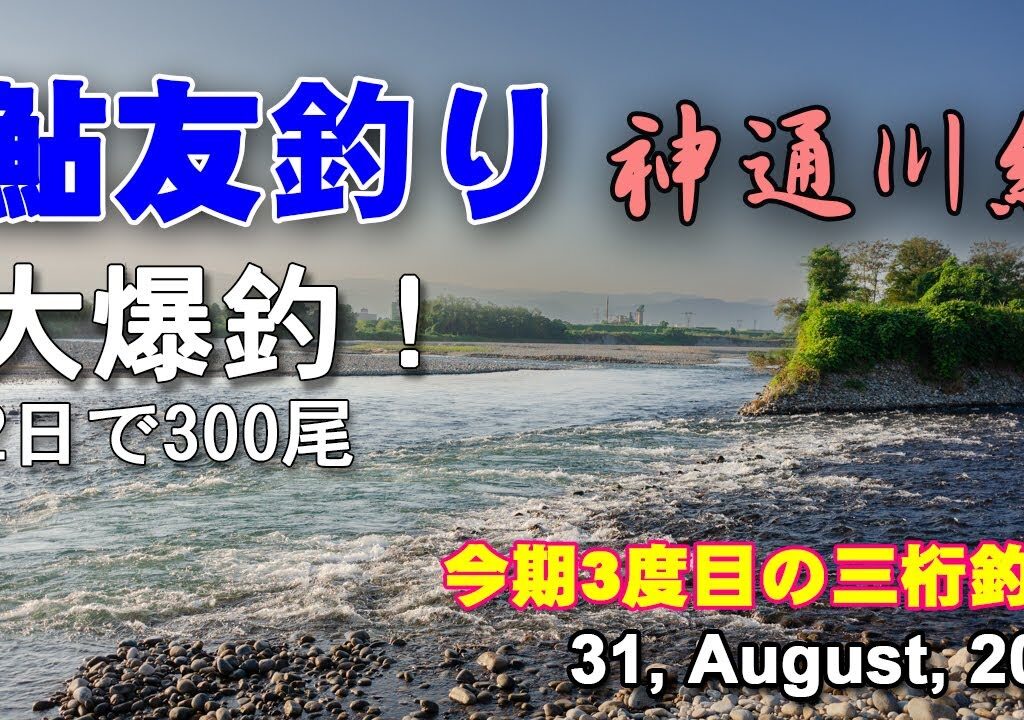 鮎友釣り　神通川編  31, August, 2025