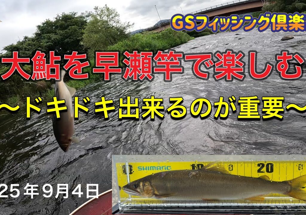 《鮎釣り》大鮎を早瀬竿で楽しむ ドキドキ出来るのが重要 オリジナル85 アバンサーMT85【Vol.50】GSフィッシング倶楽部