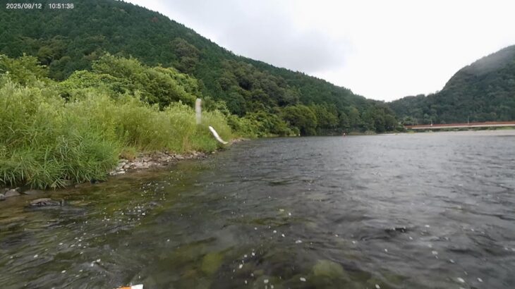 ２０２５　9 12 根尾川