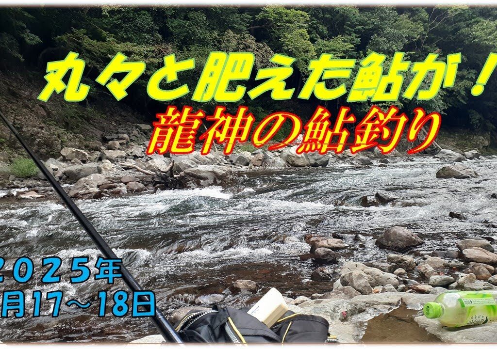 龍神の鮎釣り  (9月17～18日）大鮎が普通に掛かります