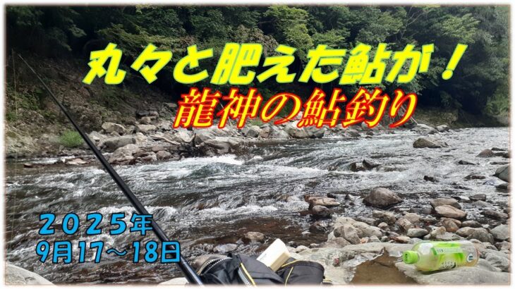 龍神の鮎釣り  (9月17～18日）大鮎が普通に掛かります