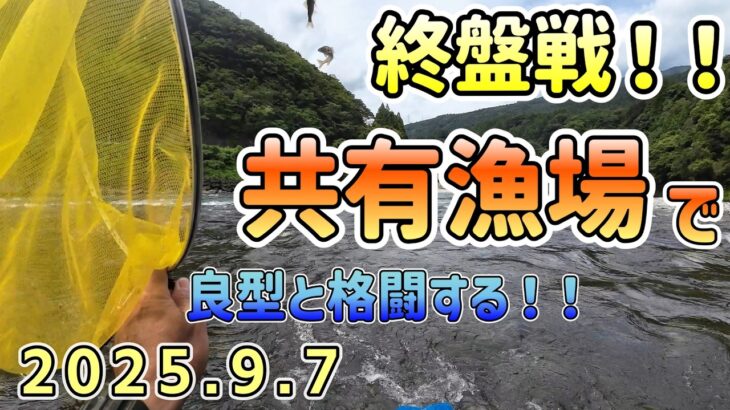引きを堪能！鮎釣り終盤戦！9月7日