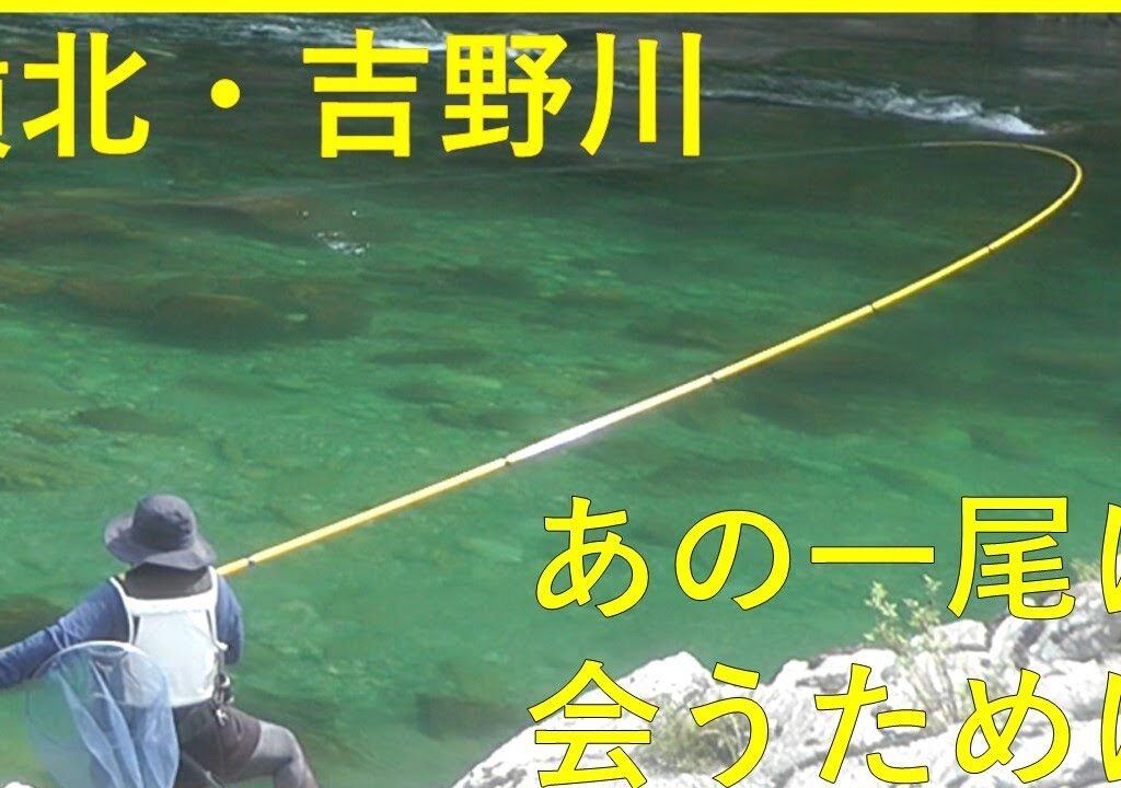 カメラSTAFF！【嶺北・吉野川・尺鮎を求め】て 釣れたらいいね！なんちゃんチャンネル