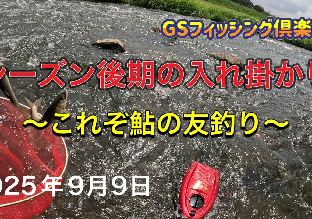 《鮎釣り》シーズン後期の入れ掛かり これぞ鮎の友釣り アバンサーT85 ショートスペシャル80【Vol.53】GSフィッシング倶楽部
