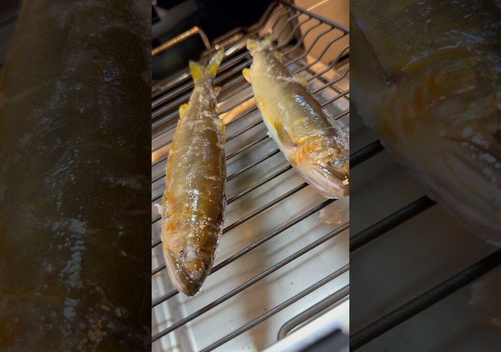 伊豆の狩野川で釣れた天然鮎#eating #fish#釣り#川 #夏 #summer#japan #日本 #鮎#静岡 #友釣り