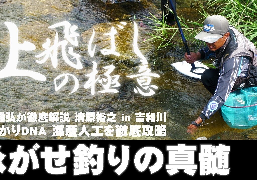 【鮎】釣れすぎ注意 泳がせ釣りの真髄！清原裕之 in 吉和川 背掛DNA海産人工を徹底攻略