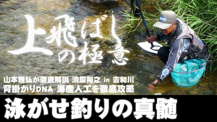 【鮎】釣れすぎ注意 泳がせ釣りの真髄！清原裕之 in 吉和川 背掛DNA海産人工を徹底攻略