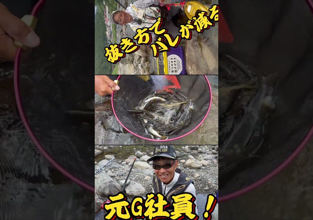 #pr #pr動画 #ダイワ #fishing #ダイワアングラー #釣り #有岡 #鮎釣り