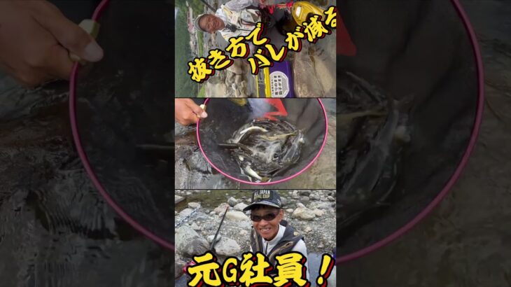 #pr #pr動画 #ダイワ #fishing #ダイワアングラー #釣り #有岡 #鮎釣り