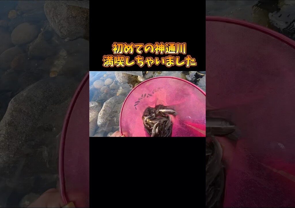 富山県神通川で鮎釣りを大満喫^ ^#shorts