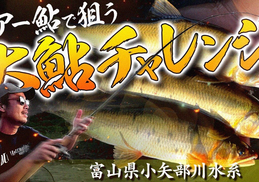 ルアー鮎で狙う大鮎チャレンジ