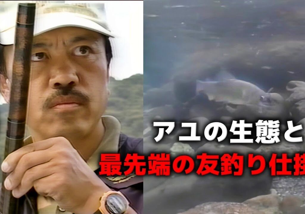 友釣りの極意・知っておきたいアユの生態と最先端の友釣り仕掛け【鮎釣り　友釣り】