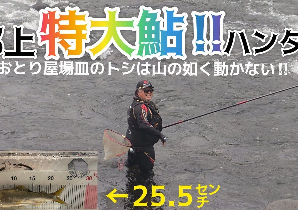 郡上‼️特大鮎‼️ハンター‼️おとり屋場皿のトシは山の如く動かない‼️