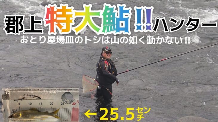 郡上‼️特大鮎‼️ハンター‼️おとり屋場皿のトシは山の如く動かない‼️