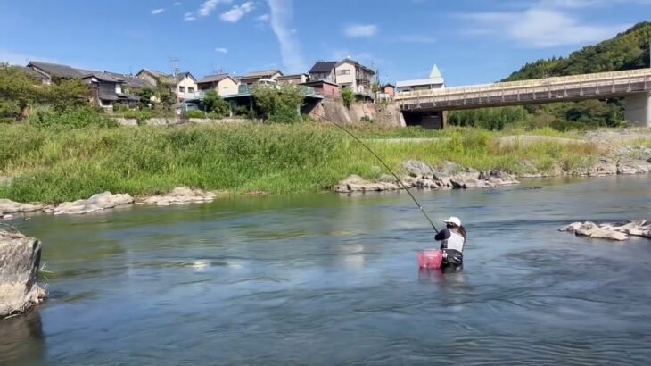 奈良県吉野川で尺鮎狙い！さぁ！尺はあったのか！