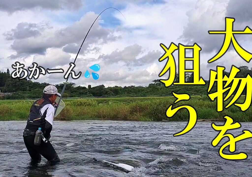 鮎釣り　大物の季節なので九州へ／初日川辺川