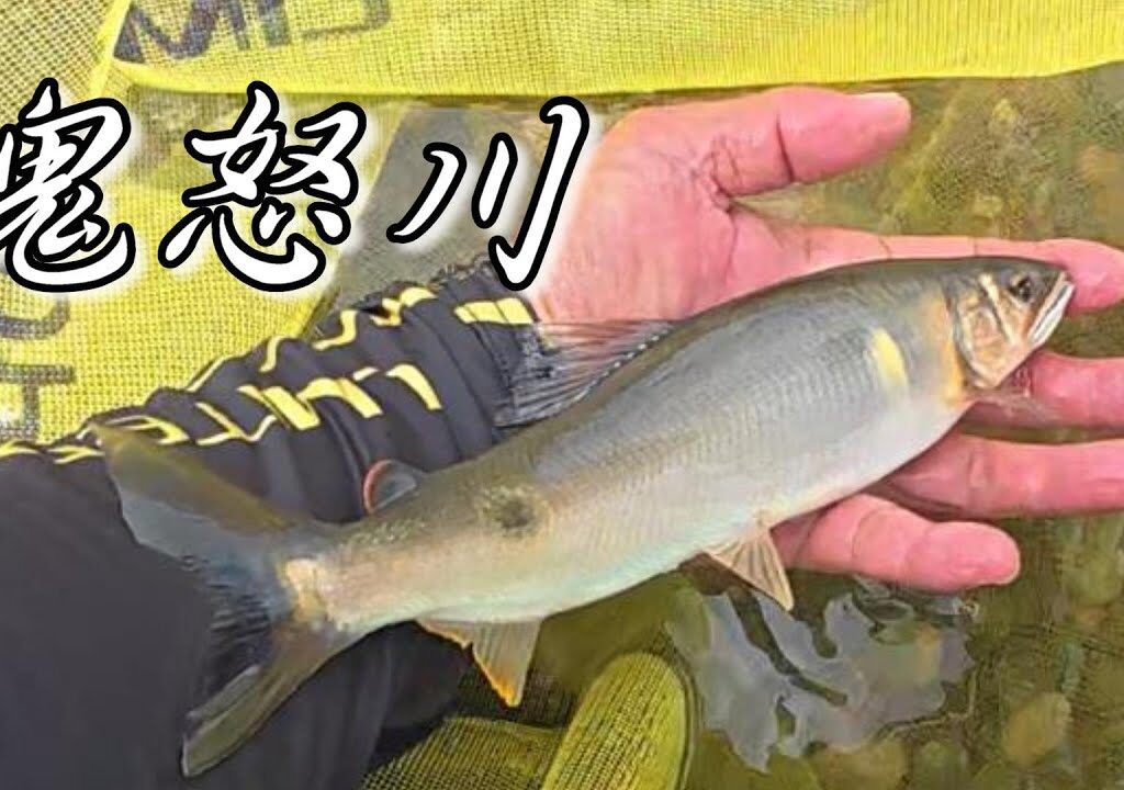 【鮎釣り】鬼怒川