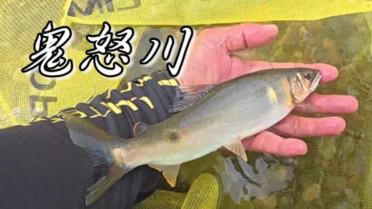 【鮎釣り】鬼怒川