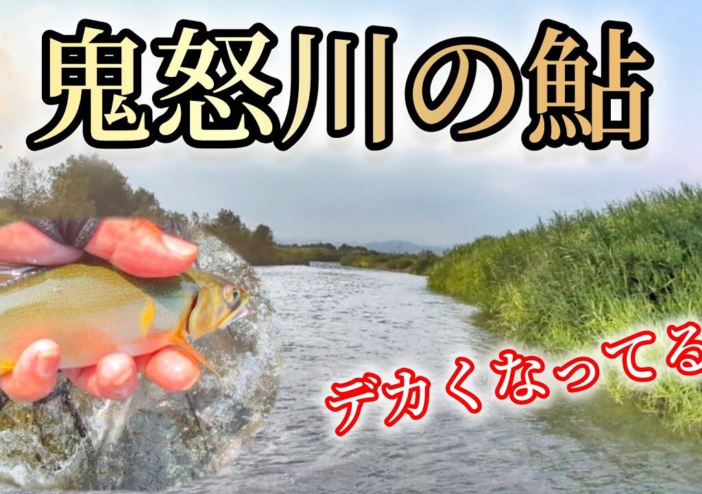 鬼怒川本流鮎釣り　ヤマメ竿でデカ鮎を抜いてみた!
