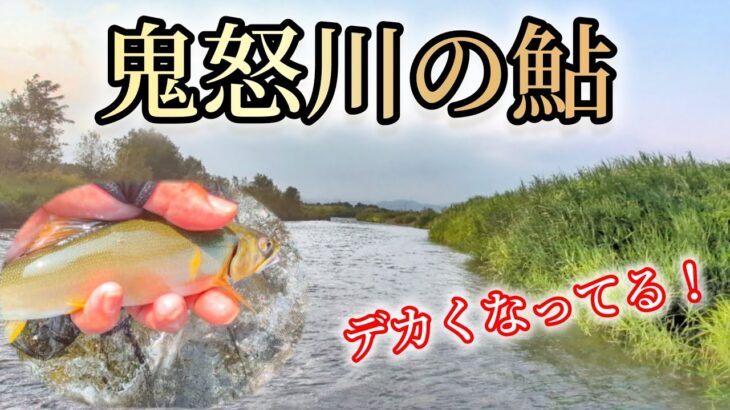鬼怒川本流鮎釣り　ヤマメ竿でデカ鮎を抜いてみた!
