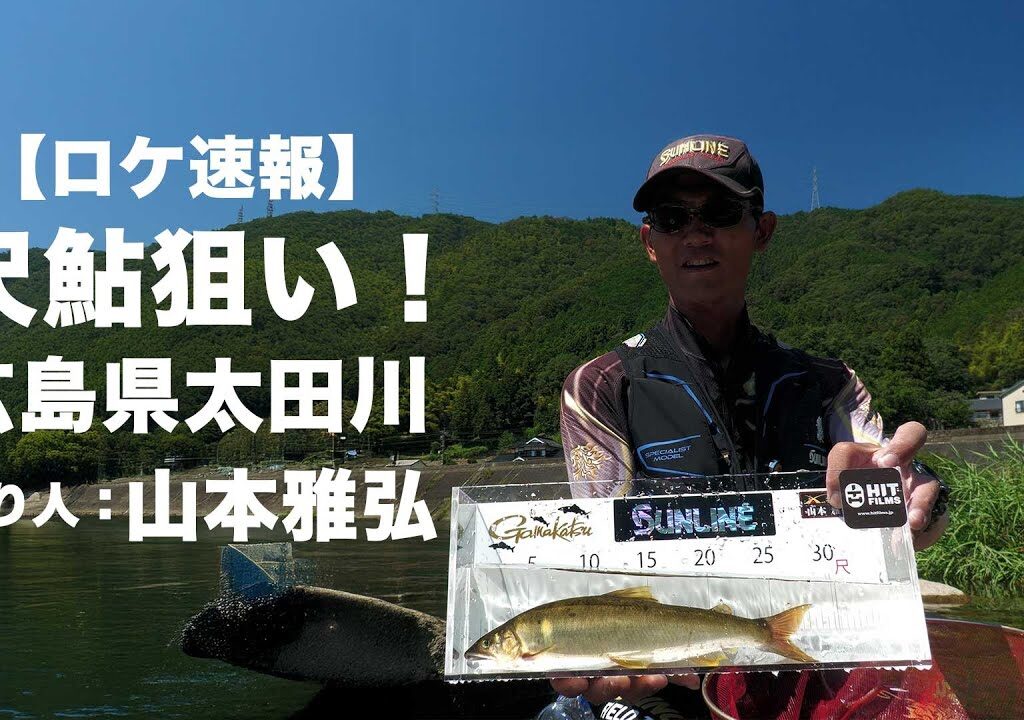 ロケ速報(ほぼ素材)｜鮎シーズン終盤戦｜広島県太田川｜尺鮎狙い｜山本雅弘