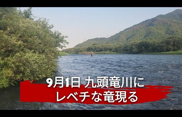 やっぱりインストラクターは全ておいてレベチだった。