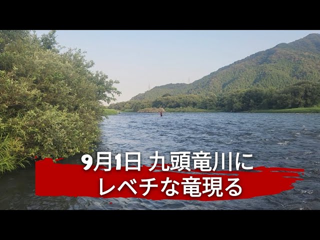 やっぱりインストラクターは全ておいてレベチだった。