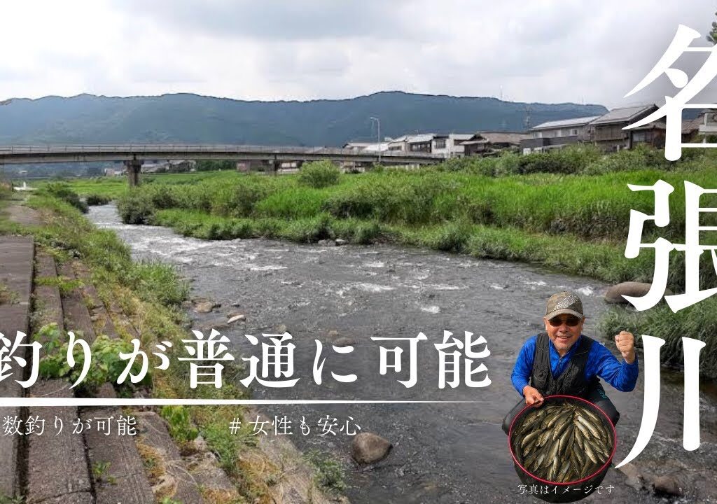 【鮎釣り】ビギナー、女子でも安全で数釣りの出来る夢の河川！！