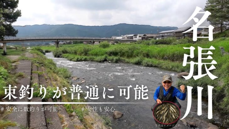 【鮎釣り】ビギナー、女子でも安全で数釣りの出来る夢の河川！！