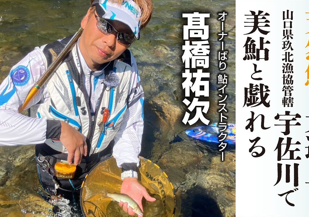 天然鮎が大遡上の宇佐川で美鮎と戯れる