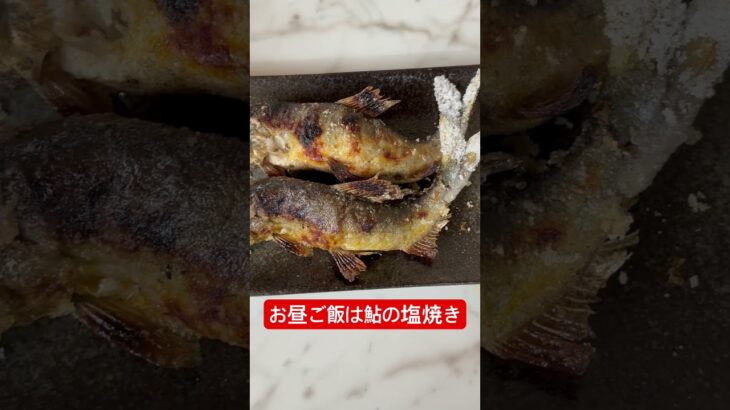 昼飯に鮎の塩焼き