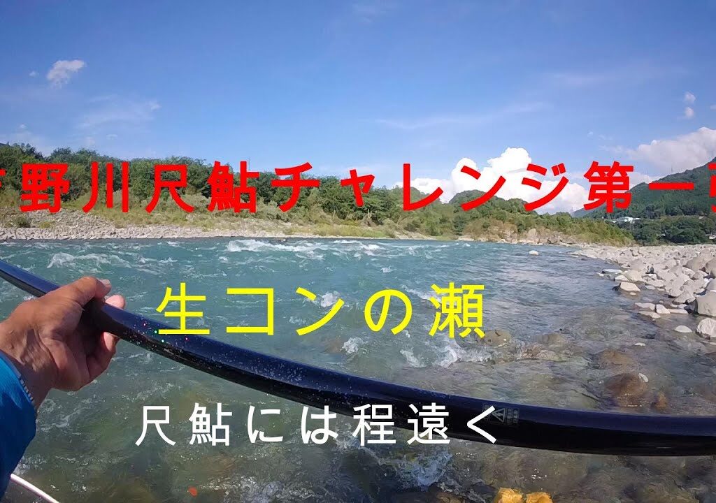 吉野川尺鮎チャレンジ第一弾（生コンの瀬）