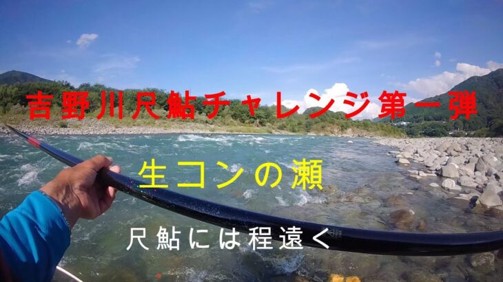 吉野川尺鮎チャレンジ第一弾（生コンの瀬）