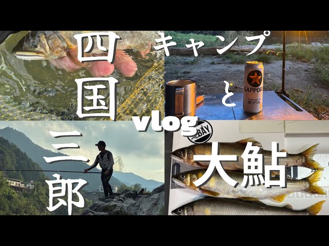 【鮎釣り】キャンプと大鮎　尺アユを狙う　徳島県（吉野川）