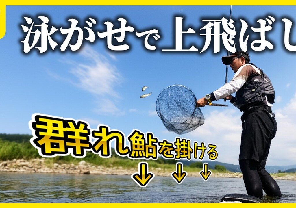 鮎釣り 泳がせ釣りで群れ鮎を崩し、引き釣りで入れ掛かる！嘘八百の午後から釣行