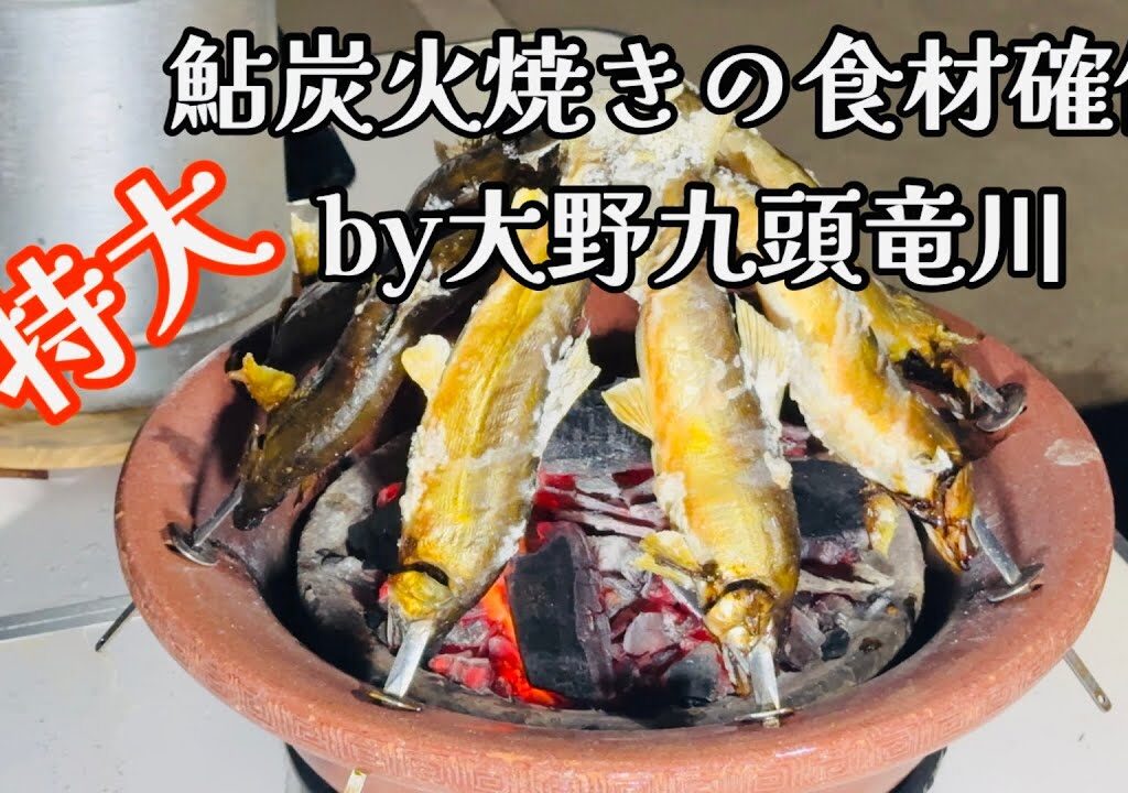 【鮎釣り】大野市九頭竜川の特大あゆを炭火で焼きます🔥