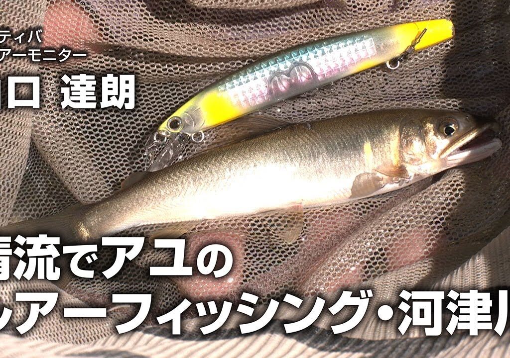 清流でアユのルアーフィッシング・河津川