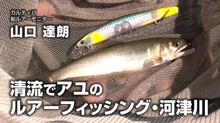 清流でアユのルアーフィッシング・河津川