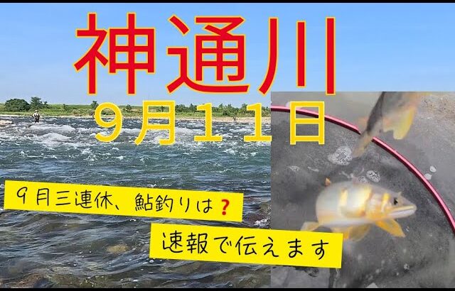 【２０２５年９月１１日　神通川鮎釣り速報　９月連休はどこに行く❓】