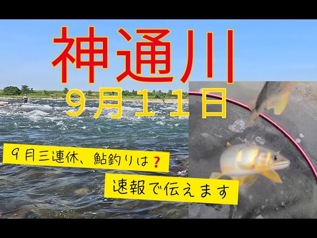 【２０２５年９月１１日　神通川鮎釣り速報　９月連休はどこに行く❓】