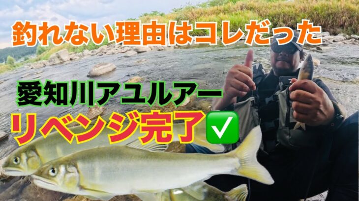 リベンジ！【鮎ルアー】愛知川へ鮎ルアーリベンジへ！釣れない理由はコレだった！