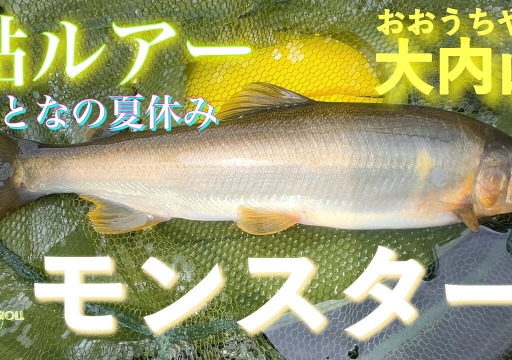 【アユイング】一つの影――ただ一匹の巨鮎と、どう渡り合うか 〜三重県 大内山川〜