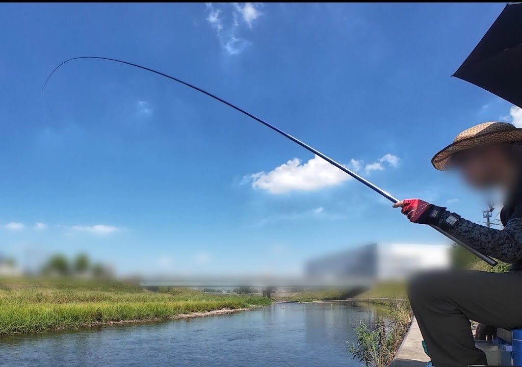 近所の小川でサビキ釣り。私は鮎が釣りたいんです。
