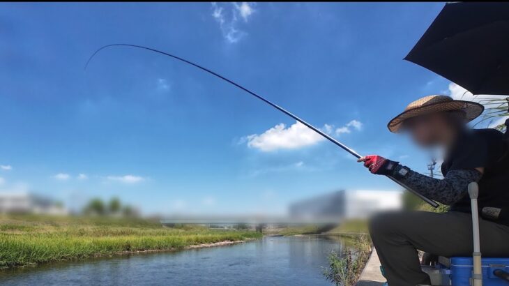 近所の小川でサビキ釣り。私は鮎が釣りたいんです。