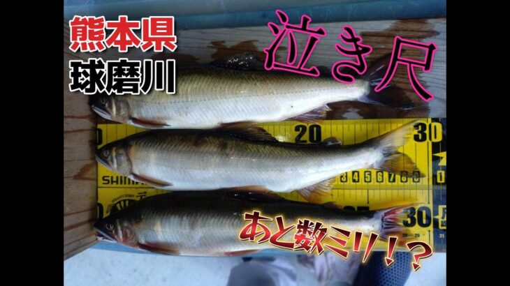 球磨川　泣き尺鮎に泣かされる！？