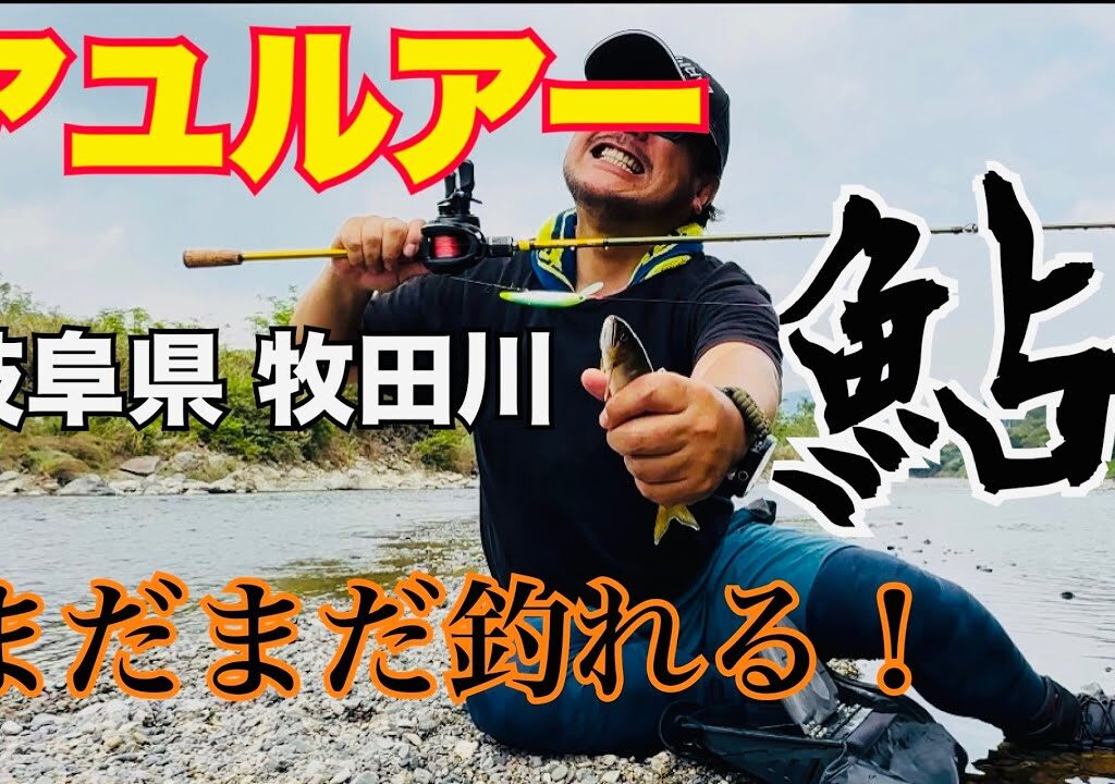 【牧田川】岐阜県牧田川で鮎ルアー！まだまだ釣れるアユルアー！