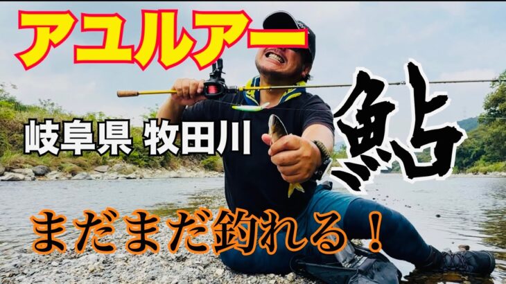 【牧田川】岐阜県牧田川で鮎ルアー！まだまだ釣れるアユルアー！