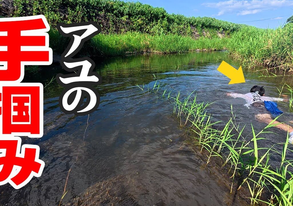 川を流れて素手で鮎を獲る‼️