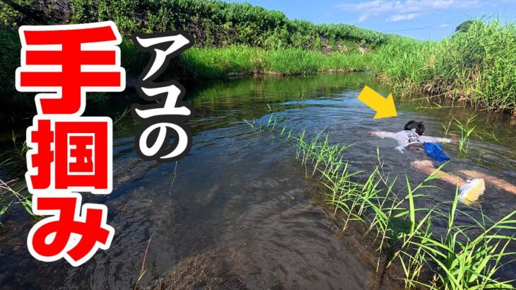 川を流れて素手で鮎を獲る‼️